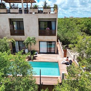 Piquete Holbox